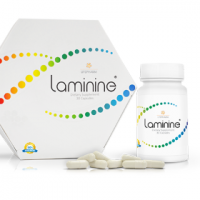 Laminine
