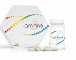 Laminine