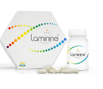 Laminine