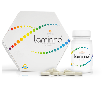 Laminine