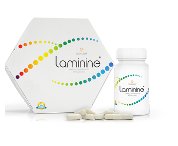 Laminine